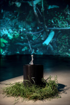 Maciej Cholewa - „Obserwator” | video + instalacja | 2016