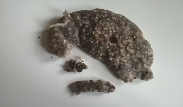 Martyna Czech - „Królik" | rzeźba | 2017