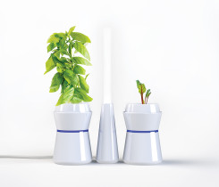 Natalia Kubaszczyk / Dyplom licencjacki / Wzornictwo / czerwiec 2017