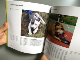 Justyna Fałek/Dyplom magisterski/Projektowanie graficzne/ czerwiec 2017