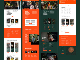 Projekt identyfikacji wizualnej marki promującej zdrowe nawyki żywieniowe / Patrycja Kędzierska / 2019