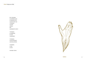 Maciej Smuda / Projekt tomiku poezji miłosnej - publikacja uwzględniająca komunikację osób słyszących i niesłyszących / 2018