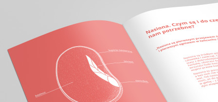 Aneta Węgrzyn / Domowa uprawa ziół. Zestaw materiałów informacyjnych / 2018