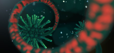 Leszek Buława/Dyplom magisterski/czerwiec 2018