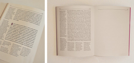 Aleksandra Obracaj/Dyplom magisterski/czerwiec 2018