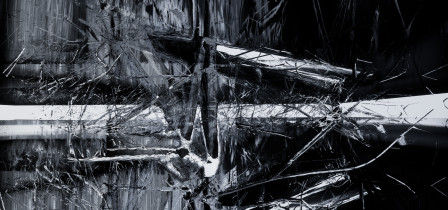 Dominika Wollman/Dyplom licencjacki/czerwiec 2018