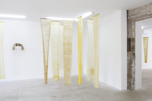 Sztandary pszczele, 2023, Francja