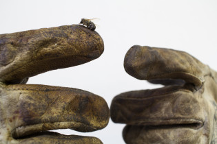 Niespieszne dłonie nie potrzebują słów, 2023