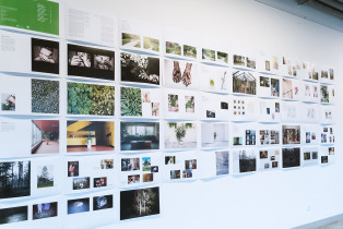 Punkty zwrotne – twórcy z ASP w Katowicach inspirowani ociepleniem klimatu. Wernisaż.  