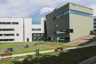 Raciborska 50 – courtyard
