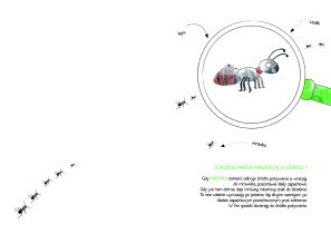 WYR&Oacute;ŻNIENIE JURY DZIECI: Alicja Kupniewska &ndash; Dlaczego wiele miłych zwierząt zachowuje się tak dziwnie?