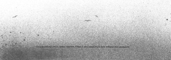 WYR&Oacute;ŻNIENIE WYDAWNICTWA FORMAT & WYR&Oacute;ŻNIENIE WYDAWNICTWA ZNAK: Aleksandra Sklorz &ndash;&nbsp;Nevoeiro