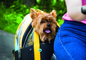 Agnieszka Uchyła / dyplom magisterski / czerwiec 2019