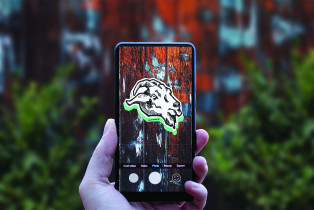 Magdalena Nedyńska, Patrycja Paprotny / dyplom magisterski - zespołowy / czerwiec 2019