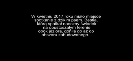 Monika Gawron, Bestia