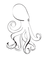 interpretacja graficzna obiektu naturalnego / Aleksandra Kwaśniewska / 2020