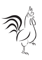 interpretacja graficzna obiektu naturalnego / Katarzyna Pilarczyk / 2020