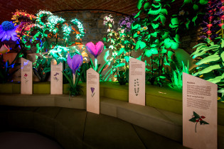 Centrum edukacji o bior&oacute;żnorodności Apilandia