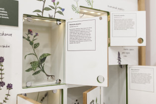 Beskidzki Dom Zielin