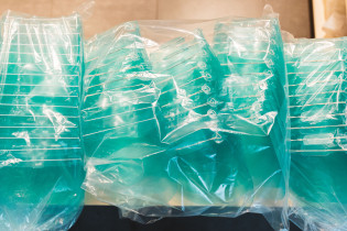 ASP Katowice – robimy przyłbice