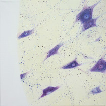 Urszula Cieślik (III rok/GW), Cuda natury II 2, akryl na płótnie, 30 x 30 cm, 2020