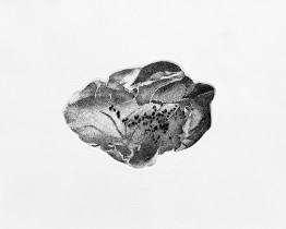 Anna Skrzypek, "Omen III", 16x10 cm, akwaforta, 2023 