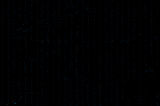 Jakub Padula "Ślady", wydruk wielkoformatowy