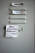 Monika Gawron, działalność  "Mikrogalerii sztuki"