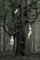 Denisa Vanova, temat: Siła detalu