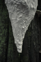 Denisa Vanova, temat: Siła detalu