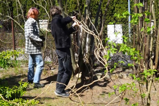Jan Kukułka, Krzew z widokiem, 2020, temat: Czułość