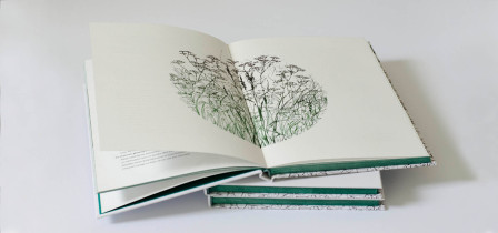 Jolanta Kosiec - Projektowanie Graficzne