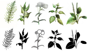 Ilustracja w kontekście użytkowym - Elwira Schabikowska