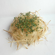 Autorka: Marta Paperz