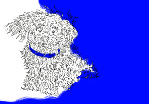 magdalena kilarska | nie patrz na mnie takim wzrokiem II