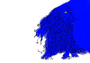 magdalena kilarska | nie patrz na mnie takim wzrokiem III