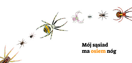 Anna Patermann - Projektowanie graficzne