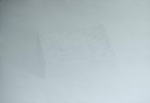 Aleksandra Rajnisz-Podlaska / Sterylność, 3 prace 