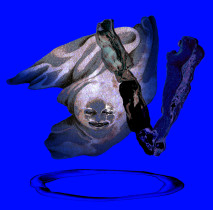 Natalia Kleszczewska 