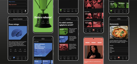 Anna Pielecka - Projektowanie Graficzne, dyplom magisterski