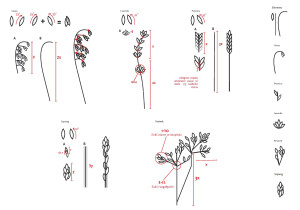 próby upraszczania efektów analizy rysunkowej
