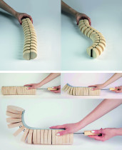 struktury przedtwórcze, modele imitacyjne