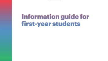 Information guide preview