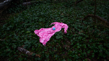 Angelika Czubasiewicz