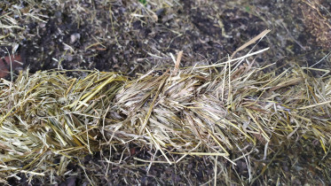 Krzysztof Momot, Z tej samej materii