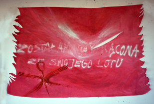 Klaudia Brzezińska (III rok/GW)