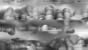 Formy antropologiczne, grafika cyfrowa, Paulina Bobak 