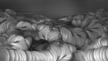 Formy antropologiczne, grafika cyfrowa, Paulina Bobak