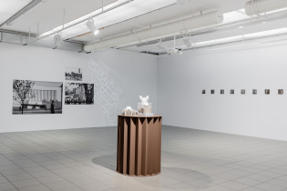 Niezidentyfikowany teren, foto: Barbara Kubska 