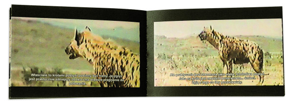 Katarzyna Nowobilska, Pustynia Kalahari, 2014